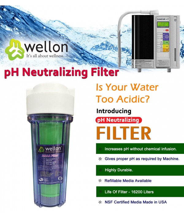 Wellon Openflow Water Purifier 20 LPH with pH neutralizing filter to